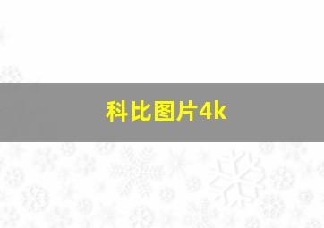 科比图片4k