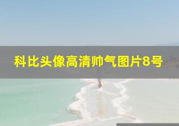 科比头像高清帅气图片8号