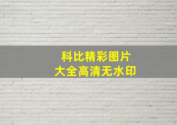 科比精彩图片大全高清无水印