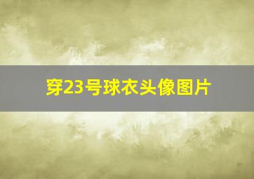 穿23号球衣头像图片