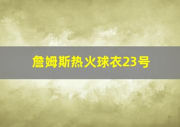 詹姆斯热火球衣23号