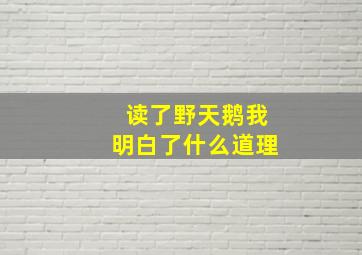 读了野天鹅我明白了什么道理