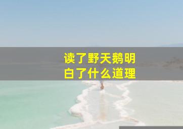 读了野天鹅明白了什么道理