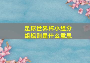 足球世界杯小组分组规则是什么意思