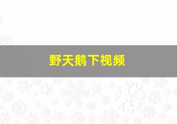 野天鹅下视频