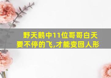 野天鹅中11位哥哥白天要不停的飞,才能变回人形