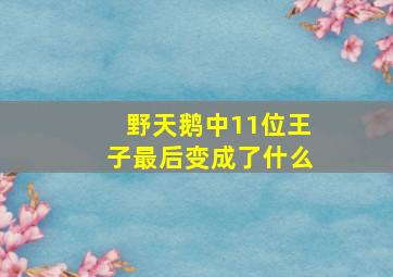 野天鹅中11位王子最后变成了什么