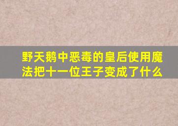 野天鹅中恶毒的皇后使用魔法把十一位王子变成了什么