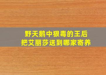 野天鹅中狠毒的王后把艾丽莎送到哪家寄养