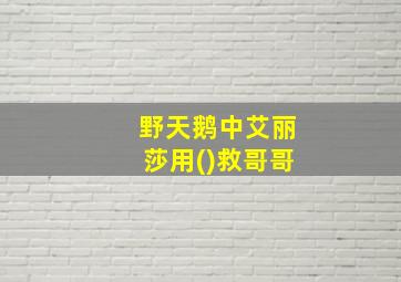 野天鹅中艾丽莎用()救哥哥