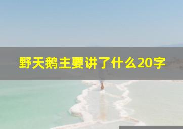 野天鹅主要讲了什么20字