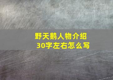 野天鹅人物介绍30字左右怎么写