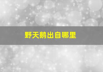 野天鹅出自哪里