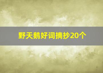 野天鹅好词摘抄20个