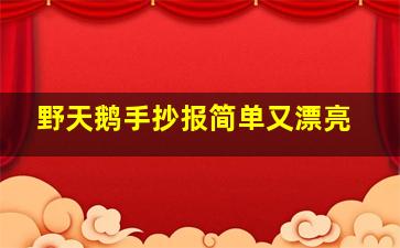 野天鹅手抄报简单又漂亮