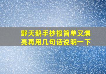 野天鹅手抄报简单又漂亮再用几句话说明一下