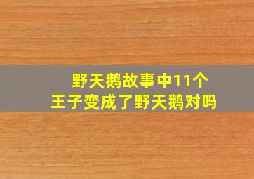 野天鹅故事中11个王子变成了野天鹅对吗