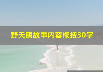 野天鹅故事内容概括30字