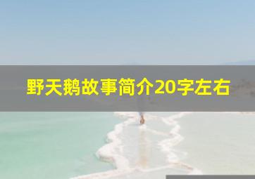 野天鹅故事简介20字左右