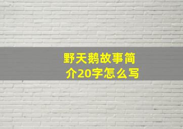 野天鹅故事简介20字怎么写