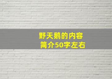 野天鹅的内容简介50字左右