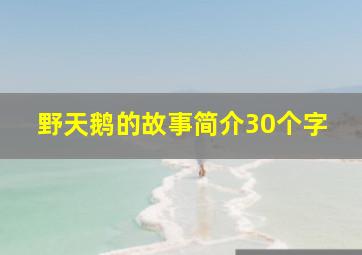 野天鹅的故事简介30个字