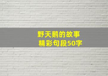 野天鹅的故事精彩句段50字