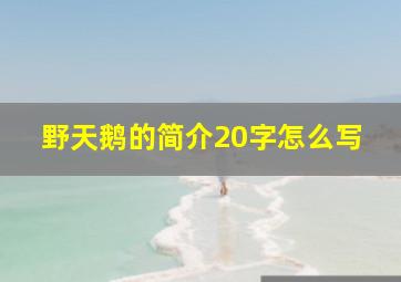 野天鹅的简介20字怎么写