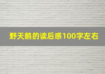 野天鹅的读后感100字左右