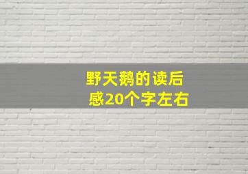 野天鹅的读后感20个字左右