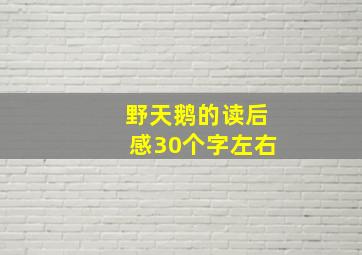 野天鹅的读后感30个字左右