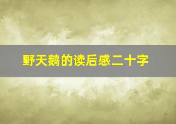 野天鹅的读后感二十字