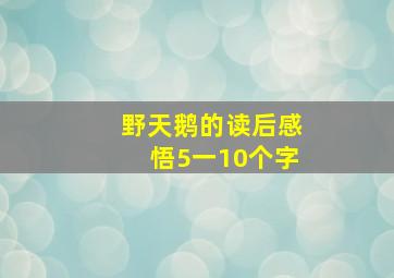 野天鹅的读后感悟5一10个字