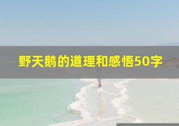 野天鹅的道理和感悟50字