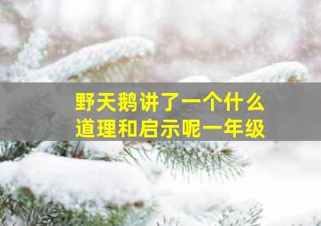 野天鹅讲了一个什么道理和启示呢一年级