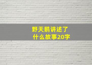 野天鹅讲述了什么故事20字