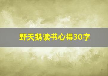 野天鹅读书心得30字