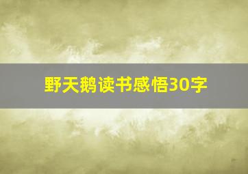 野天鹅读书感悟30字