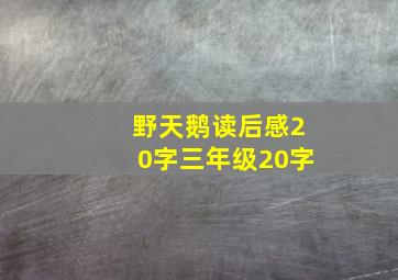 野天鹅读后感20字三年级20字