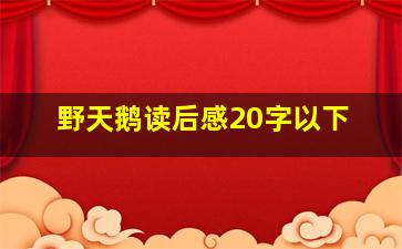 野天鹅读后感20字以下