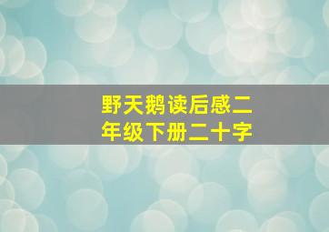 野天鹅读后感二年级下册二十字