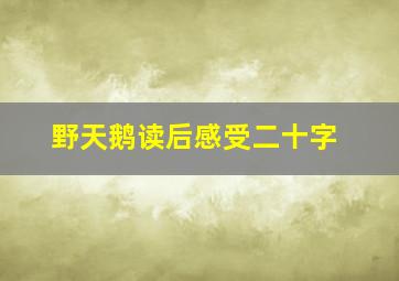 野天鹅读后感受二十字